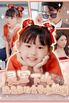 灵宝下山沈先生的玄学小外挂