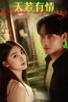 天若有情