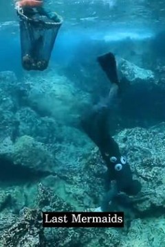 最后的美人鱼