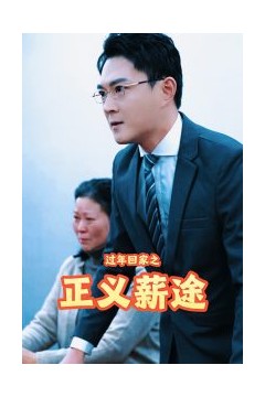 过年回家之正义薪途