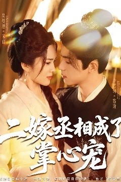 二嫁丞相成了掌心宠