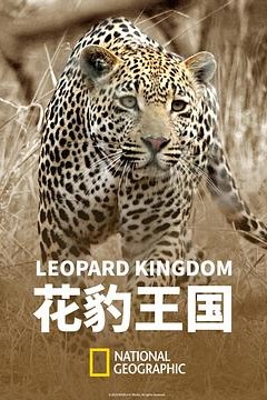 花豹王国