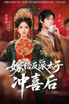 嫁给反派太子冲喜后