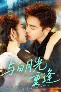 与白月光重逢