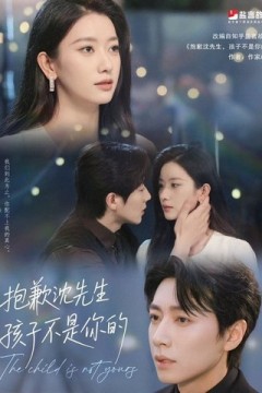 沈先生我们复合好不好