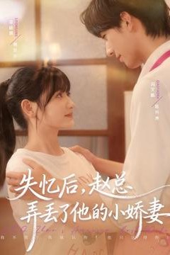 失忆后，赵总弄丢了他的小娇妻