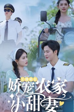 王牌机长娇宠农家小甜妻