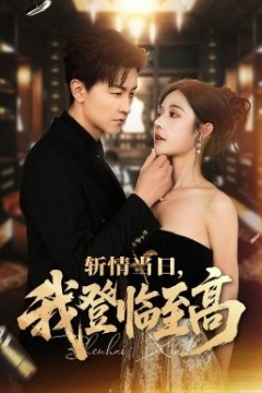 斩情当日，我登临至高