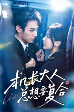 机长大人总想要复合
