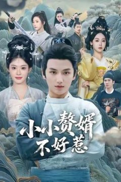 小小赘婿不好惹