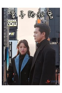 妻子的秘密短剧