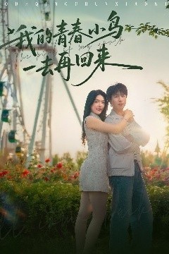 我的青春小鸟一去再回来