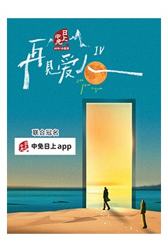 再见爱人第四季