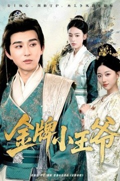 金牌小王爷