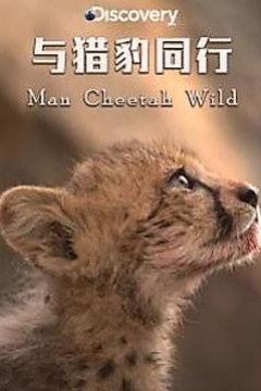 与猎豹同行