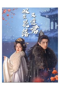 双生花落又逢君