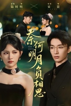 奈何明月负相思