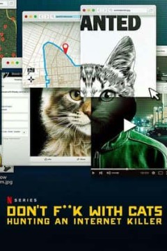 别惹猫咪：追捕虐猫者