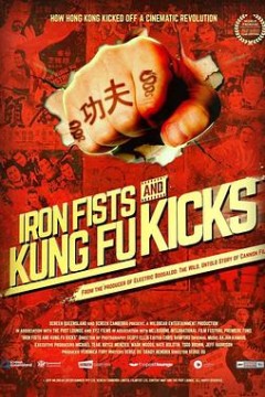 铁拳飞脚真功夫