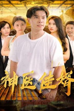 神医佳婿