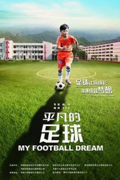 平凡的足球