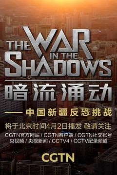 暗流涌动——中国新疆反恐挑战