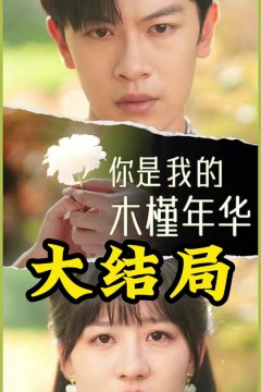 你是我的木槿年华