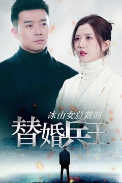 冰山总裁的替婚兵王