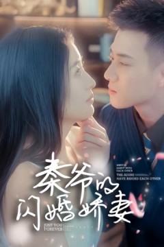 秦爷的闪婚娇妻