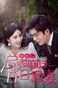 离婚后总裁前夫日日追妻