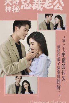 天降神秘总裁老公