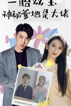 新一胎双胞，神秘爹地是大佬