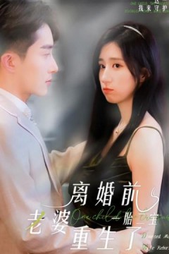 一胎二宝：离婚前老婆重生了