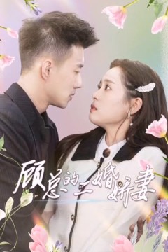 顾总的二婚娇妻