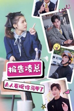 报告凌总，夫人发现你马甲了