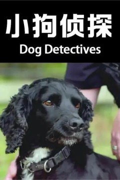 小狗侦探