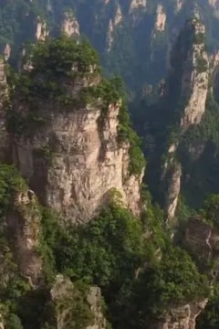 张家界：奇迹石林