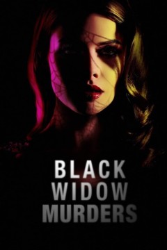 黑寡妇谋杀案