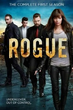 卧底情劫第三季