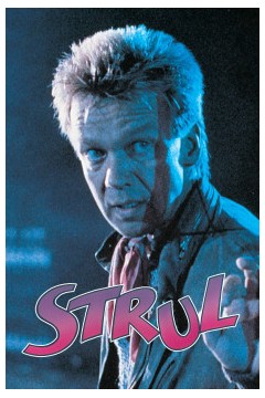 斯特鲁尔