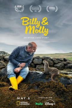 比利和莫莉：水獭爱情故事