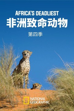 非洲致命动物第四季