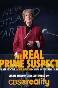 真正的头号嫌疑人第一季