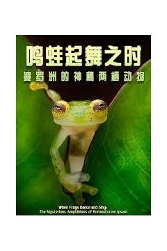 鸣蛙起舞之时：婆罗洲的神秘两栖动物