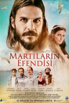 马丁拉林·埃芬迪西