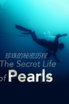 珍珠的秘密历程