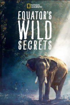 荒野之谜第三季