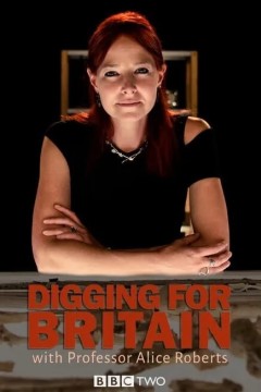 挖掘英国第九季