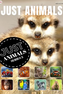 只是动物第一季