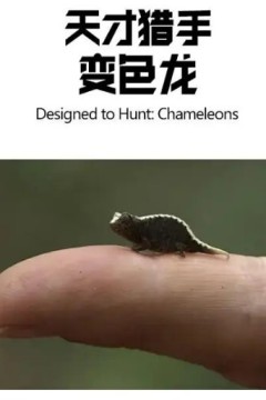 天才猎手：变色龙